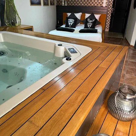 785 Jacuzzi Sauna