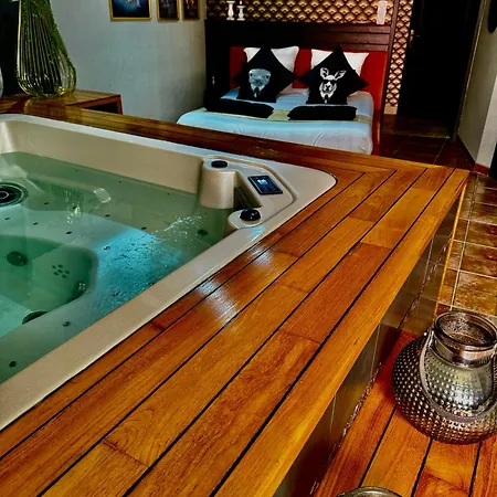 住宿加早餐酒店 785 Jacuzzi Sauna 蒙托邦